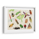 Bugdom Ii - Alicia Ludwig | Cuadro decorativo de Canvas Lab