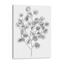 Eucalipto Sketch I - Emma Scarvey | Cuadro decorativo de Canvas Lab
