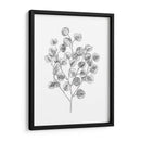 Eucalipto Sketch I - Emma Scarvey | Cuadro decorativo de Canvas Lab