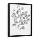 Eucalipto Sketch I - Emma Scarvey | Cuadro decorativo de Canvas Lab