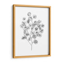 Eucalipto Sketch I - Emma Scarvey | Cuadro decorativo de Canvas Lab