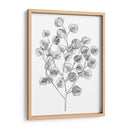 Eucalipto Sketch I - Emma Scarvey | Cuadro decorativo de Canvas Lab