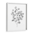 Eucalipto Sketch I - Emma Scarvey | Cuadro decorativo de Canvas Lab
