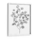 Eucalipto Sketch I - Emma Scarvey | Cuadro decorativo de Canvas Lab