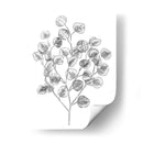 Eucalipto Sketch I - Emma Scarvey | Cuadro decorativo de Canvas Lab