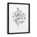 Eucalipto Sketch Ii - Emma Scarvey | Cuadro decorativo de Canvas Lab