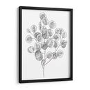 Eucalipto Sketch Ii - Emma Scarvey | Cuadro decorativo de Canvas Lab