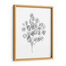 Eucalipto Sketch Ii - Emma Scarvey | Cuadro decorativo de Canvas Lab