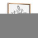 Eucalipto Sketch Ii - Emma Scarvey | Cuadro decorativo de Canvas Lab