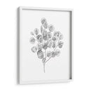 Eucalipto Sketch Ii - Emma Scarvey | Cuadro decorativo de Canvas Lab