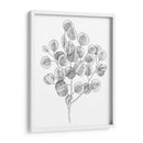 Eucalipto Sketch Ii - Emma Scarvey | Cuadro decorativo de Canvas Lab