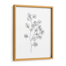 Eucalipto Sketch Iii - Emma Scarvey | Cuadro decorativo de Canvas Lab