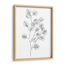Eucalipto Sketch Iii - Emma Scarvey | Cuadro decorativo de Canvas Lab