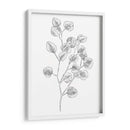 Eucalipto Sketch Iii - Emma Scarvey | Cuadro decorativo de Canvas Lab