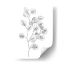 Eucalipto Sketch Iii - Emma Scarvey | Cuadro decorativo de Canvas Lab