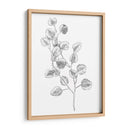 Eucalipto Sketch Iv - Emma Scarvey | Cuadro decorativo de Canvas Lab