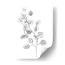 Eucalipto Sketch Iv - Emma Scarvey | Cuadro decorativo de Canvas Lab