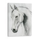 Caballo Susurro I - Grace Popp | Cuadro decorativo de Canvas Lab