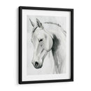 Caballo Susurro I - Grace Popp | Cuadro decorativo de Canvas Lab