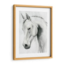 Caballo Susurro I - Grace Popp | Cuadro decorativo de Canvas Lab
