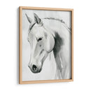 Caballo Susurro I - Grace Popp | Cuadro decorativo de Canvas Lab