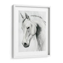 Caballo Susurro I - Grace Popp | Cuadro decorativo de Canvas Lab