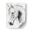 Caballo Susurro I - Grace Popp | Cuadro decorativo de Canvas Lab