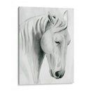 Horse Whisper Ii - Grace Popp | Cuadro decorativo de Canvas Lab