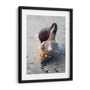 Regalos De La Orilla Ii - Elena Ray | Cuadro decorativo de Canvas Lab