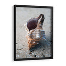 Regalos De La Orilla Ii - Elena Ray | Cuadro decorativo de Canvas Lab