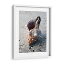 Regalos De La Orilla Ii - Elena Ray | Cuadro decorativo de Canvas Lab