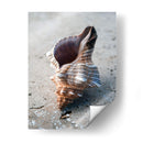 Regalos De La Orilla Ii - Elena Ray | Cuadro decorativo de Canvas Lab