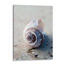 Regalos De La Orilla Iii - Elena Ray | Cuadro decorativo de Canvas Lab