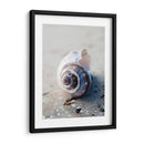 Regalos De La Orilla Iii - Elena Ray | Cuadro decorativo de Canvas Lab