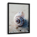 Regalos De La Orilla Iii - Elena Ray | Cuadro decorativo de Canvas Lab
