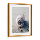 Regalos De La Orilla Iii - Elena Ray | Cuadro decorativo de Canvas Lab