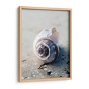 Regalos De La Orilla Iii - Elena Ray | Cuadro decorativo de Canvas Lab