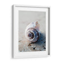 Regalos De La Orilla Iii - Elena Ray | Cuadro decorativo de Canvas Lab