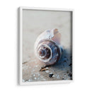 Regalos De La Orilla Iii - Elena Ray | Cuadro decorativo de Canvas Lab