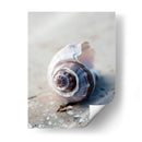 Regalos De La Orilla Iii - Elena Ray | Cuadro decorativo de Canvas Lab