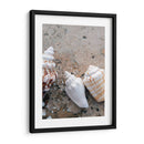 Regalos De La Orilla Iv - Elena Ray | Cuadro decorativo de Canvas Lab