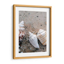 Regalos De La Orilla Iv - Elena Ray | Cuadro decorativo de Canvas Lab