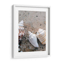 Regalos De La Orilla Iv - Elena Ray | Cuadro decorativo de Canvas Lab