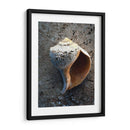 Regalos De La Orilla V - Elena Ray | Cuadro decorativo de Canvas Lab