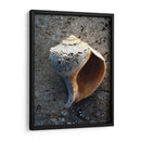 Regalos De La Orilla V - Elena Ray | Cuadro decorativo de Canvas Lab