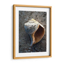 Regalos De La Orilla V - Elena Ray | Cuadro decorativo de Canvas Lab