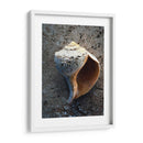 Regalos De La Orilla V - Elena Ray | Cuadro decorativo de Canvas Lab