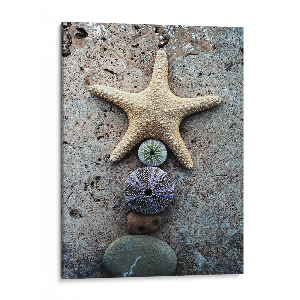 Regalos De La Orilla Vii - Elena Ray | Cuadro decorativo de Canvas Lab