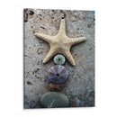 Regalos De La Orilla Vii - Elena Ray | Cuadro decorativo de Canvas Lab