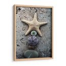 Regalos De La Orilla Vii - Elena Ray | Cuadro decorativo de Canvas Lab
